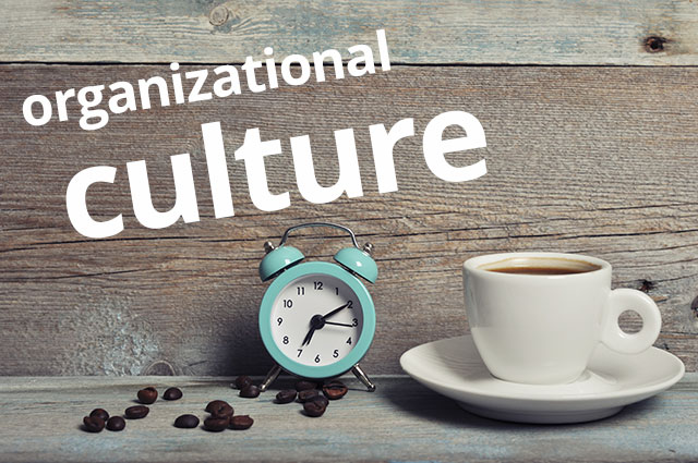 organizational culture factors