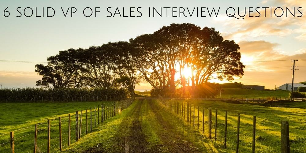 6-solid-vp-of-sales-interview-questions-trupath-search