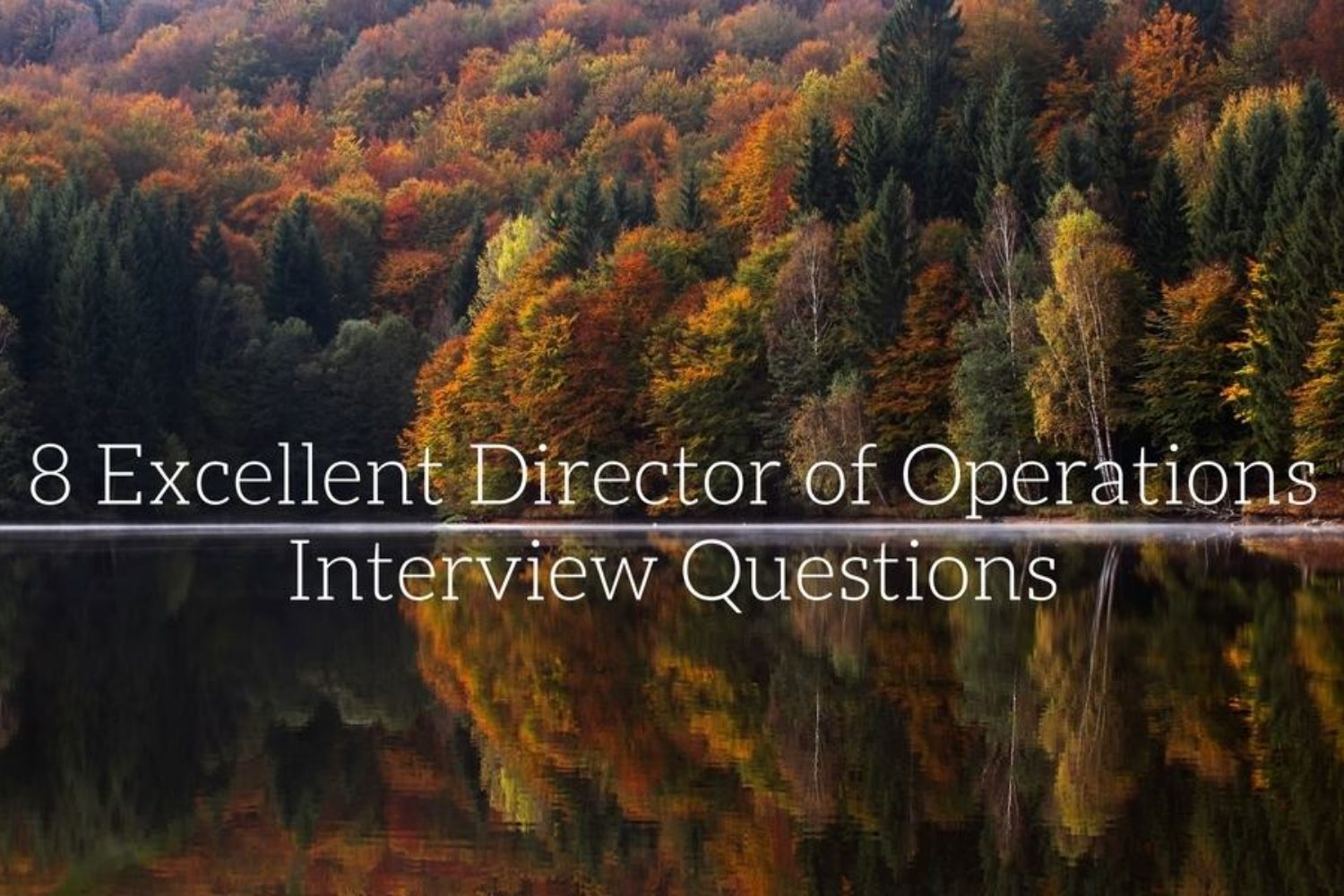 director of operations interview questions