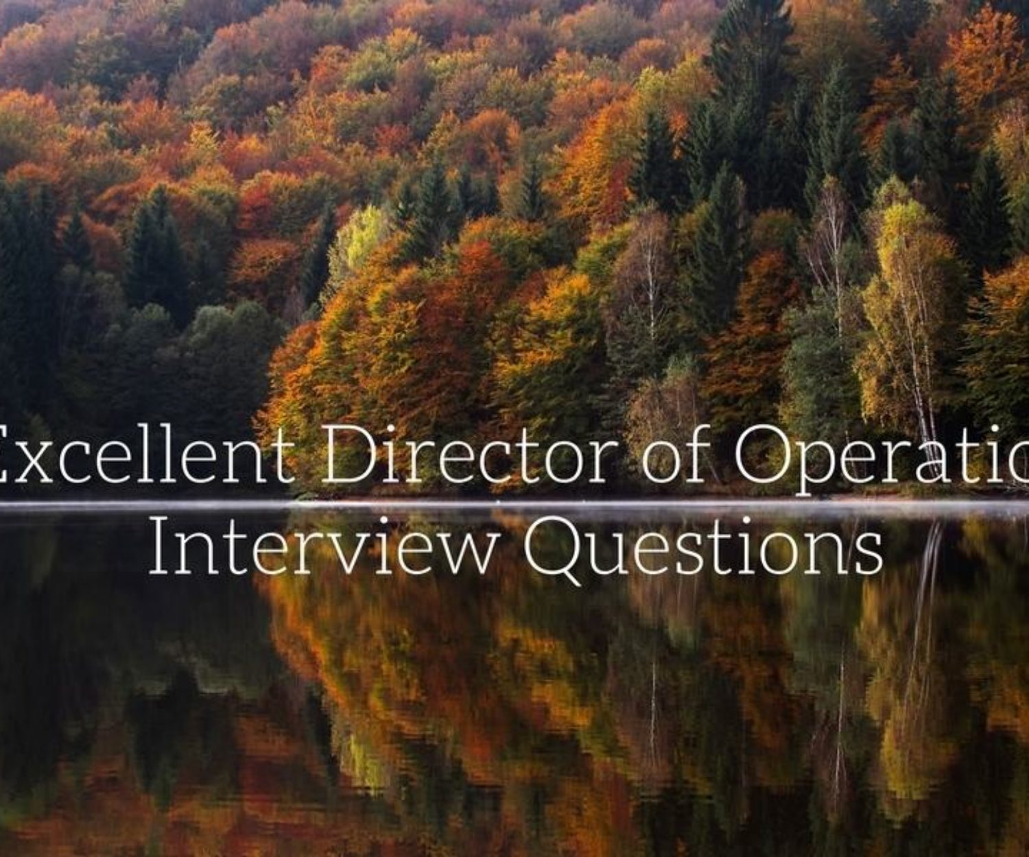 director of operations interview questions