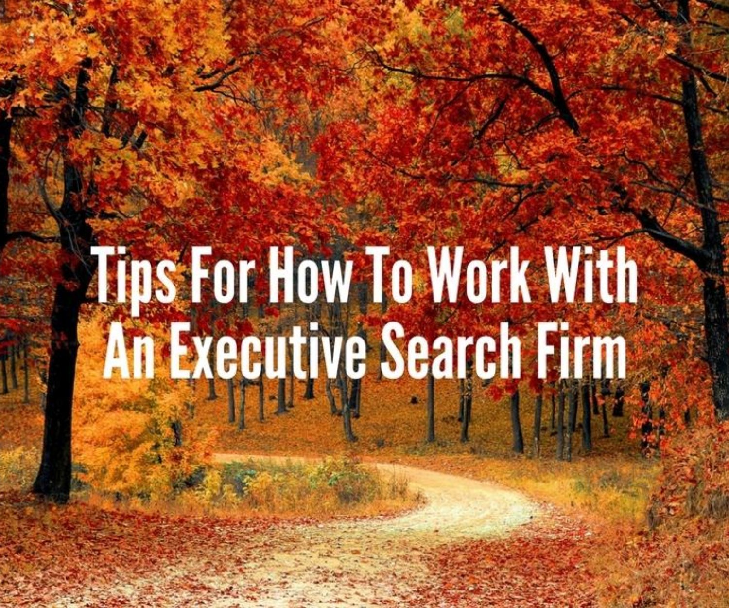 How To Work With An Executive Search Firm
