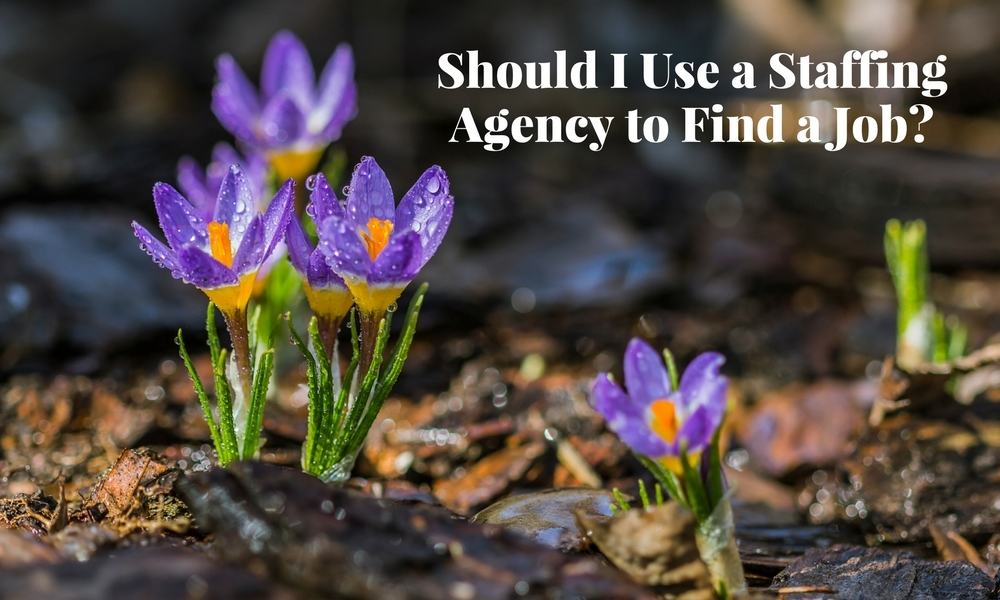 Should I Use A Staffing Agency To Find A Job