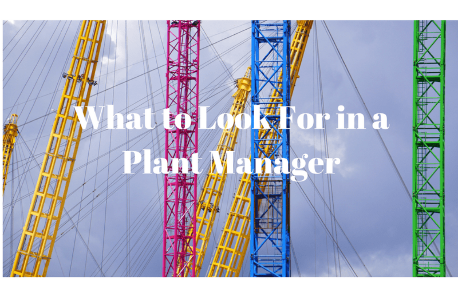 Plant Manager